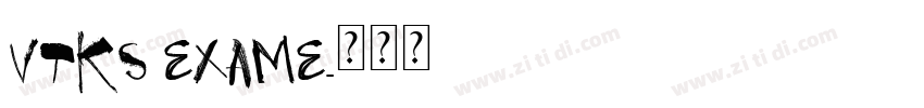 VTKS EXAME字体转换